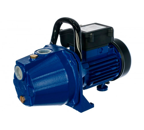 Купить Насос садовый BELAMOS XA 06 с доставкой