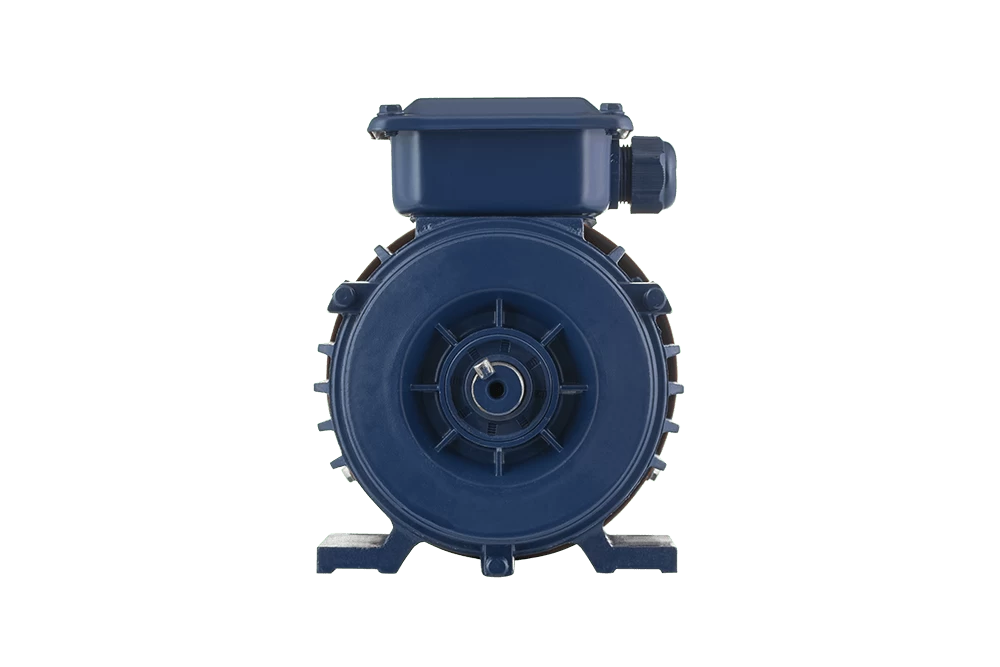 Купить Электродвигатель UNIPUMP АИP 180S4 IM1081 (22 кВт/1500 об/мин) с доставкой